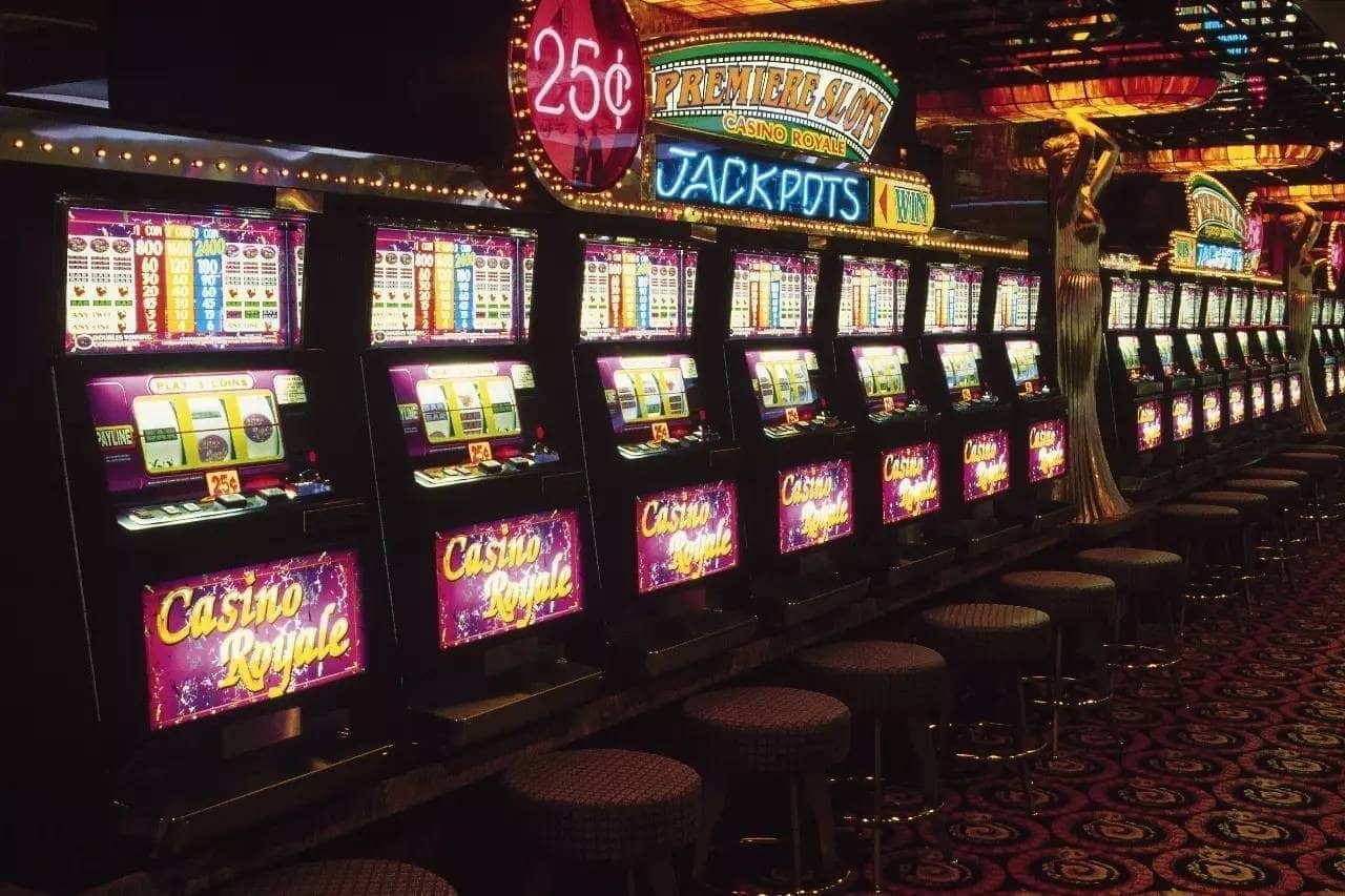 ss777|Top bingo online com cashback diário Aposte Seguro